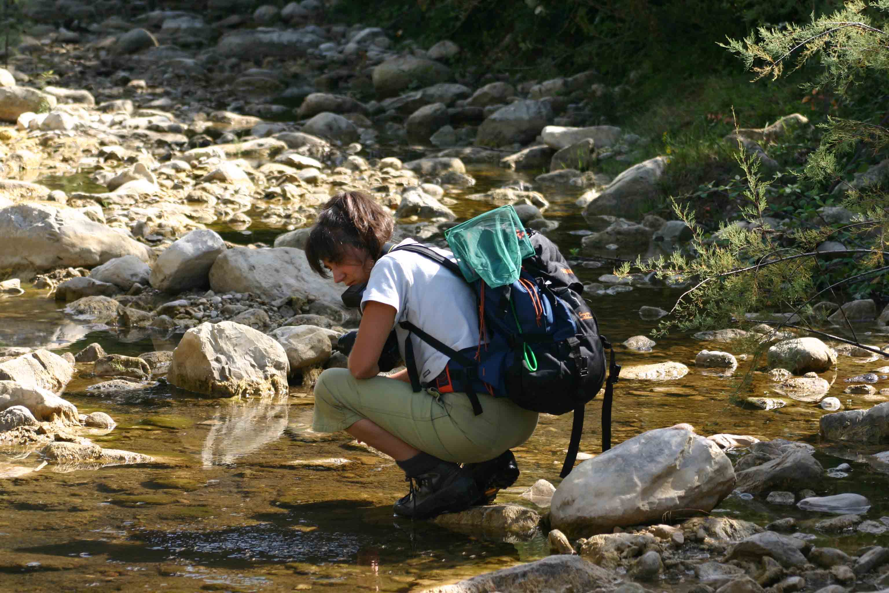 Rio Fiume (Tolfa) 2, la vendetta